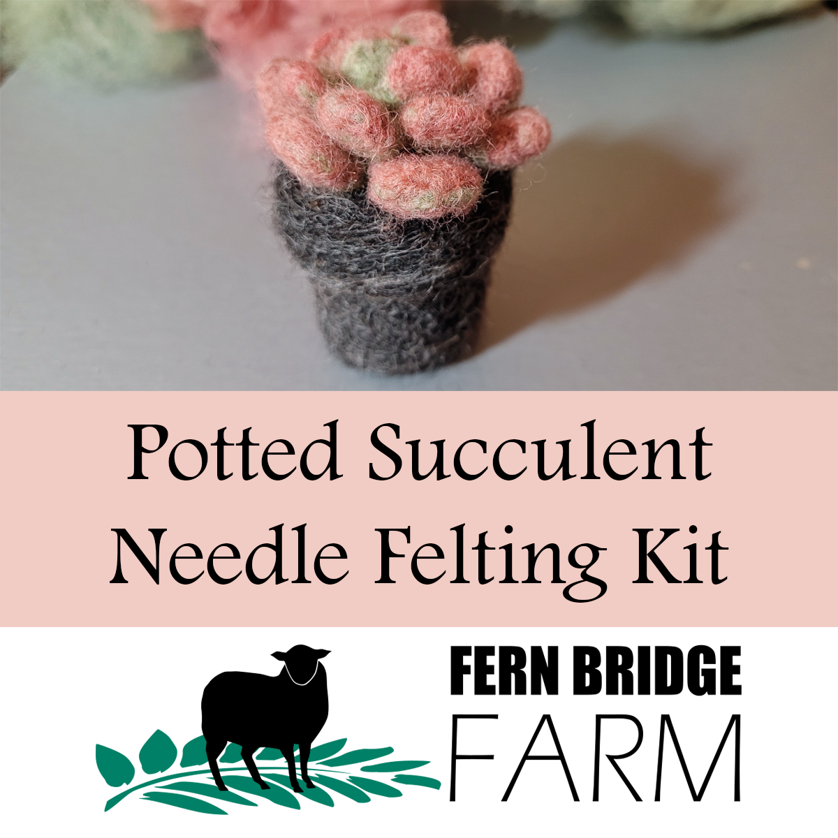 Needle Felting Kit - Succulent