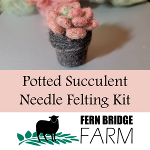 Needle Felting Kit - Succulent