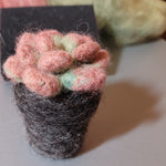 Load image into Gallery viewer, Needle Felting Kit - Succulent
