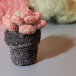 Load image into Gallery viewer, Needle Felting Kit - Succulent
