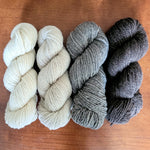 Load image into Gallery viewer, Royal Fern Worsted
