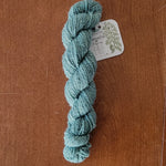 Load image into Gallery viewer, Maidenhair Fern 2-Ply 25g Skeins
