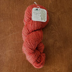 Load image into Gallery viewer, Maidenhair Fern 2-Ply 100g Skeins
