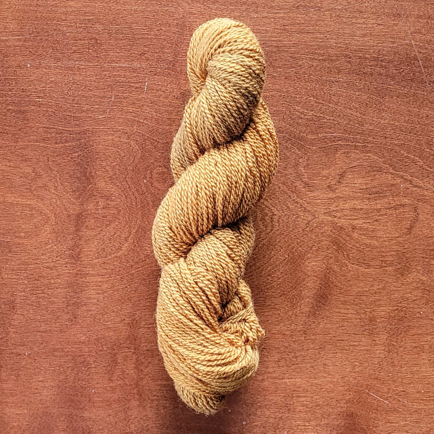 Wood Fern Sport