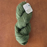 Load image into Gallery viewer, Maidenhair Fern 2-Ply 100g Skeins
