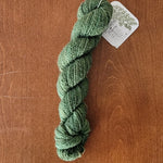Load image into Gallery viewer, Maidenhair Fern 2-Ply 25g Skeins
