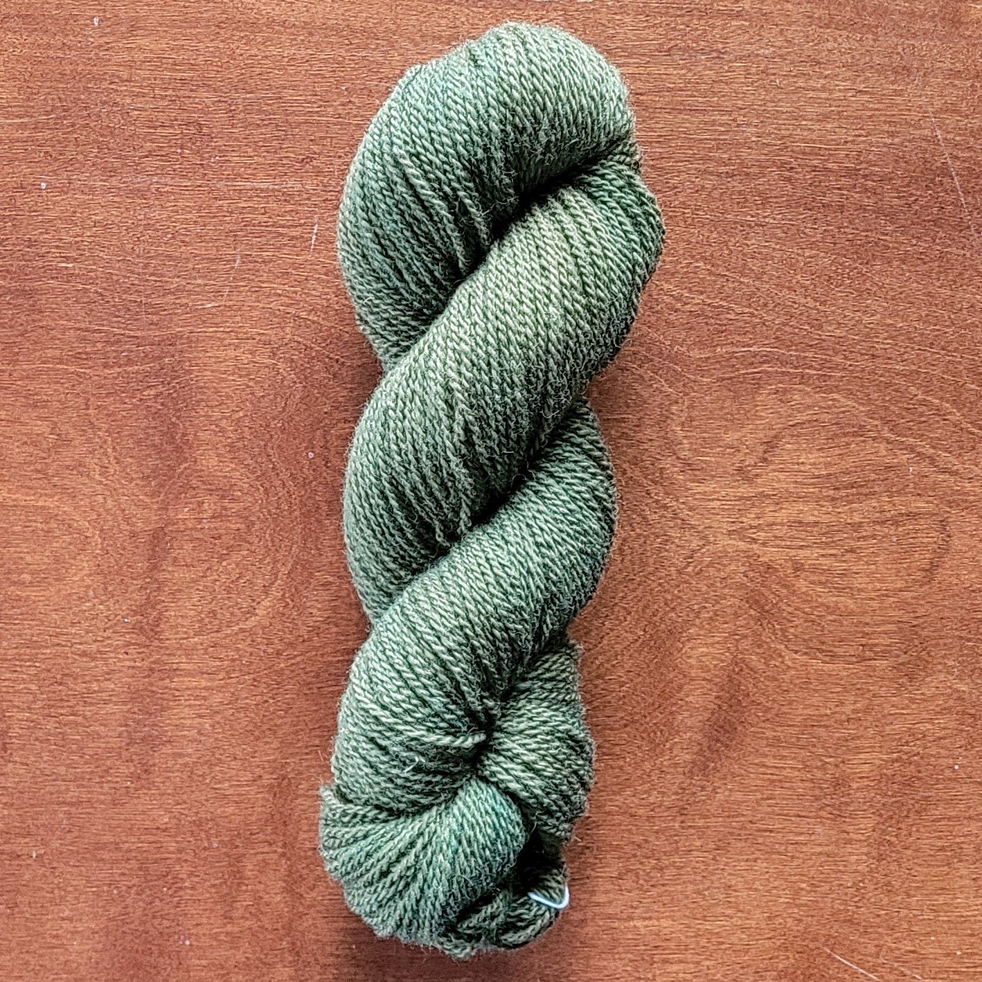Wood Fern Sport