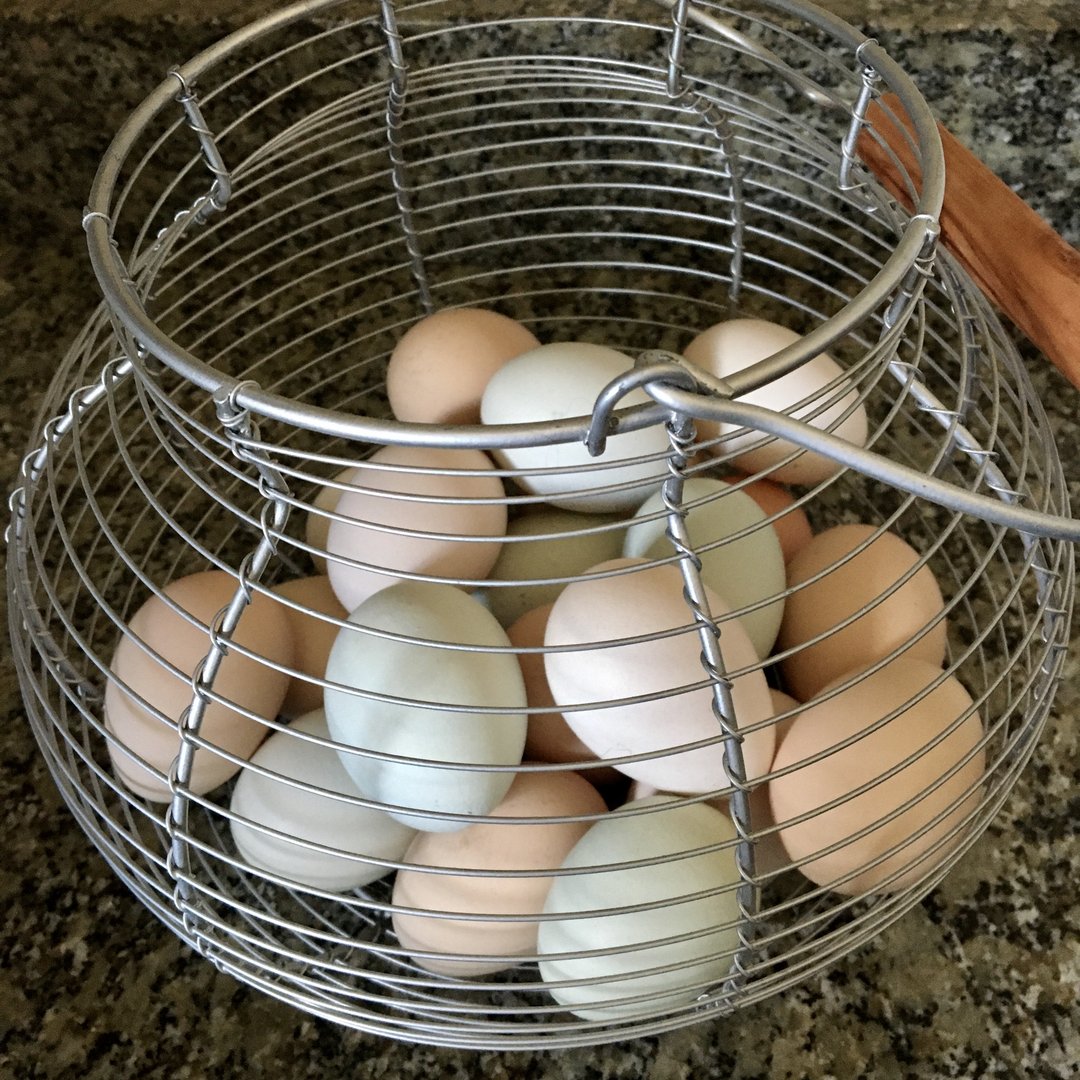 Egg Punch Cards
