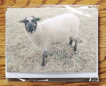 Load image into Gallery viewer, Sheep Photo Greeting Cards - Individual
